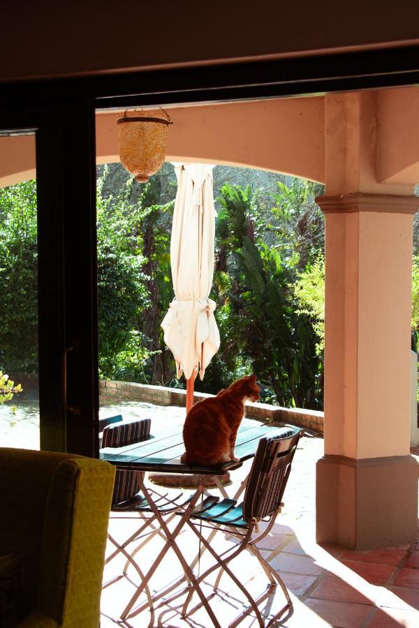 Southern Light Country House Κέιπ Τάουν Εξωτερικό φωτογραφία