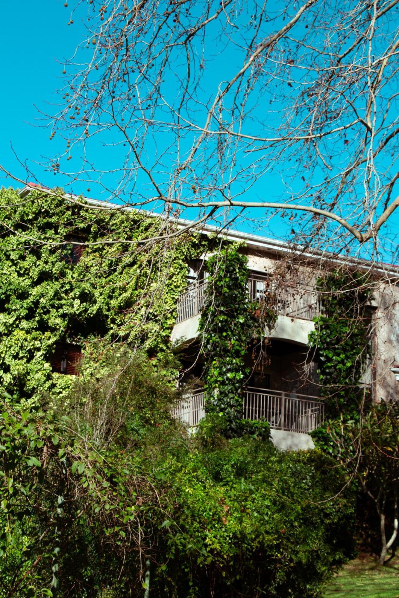 Southern Light Country House Κέιπ Τάουν Εξωτερικό φωτογραφία